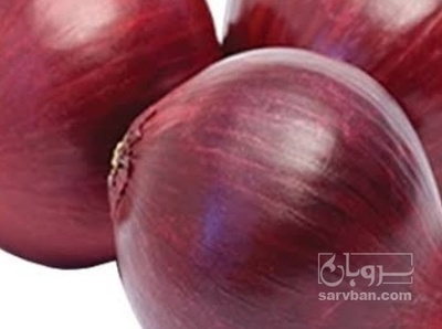 فروش پیاز قرمز