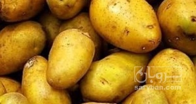 فروش سیب زمینی جلی