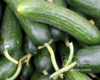 فروش خیار تره باری