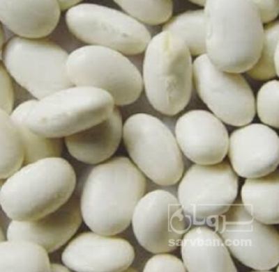 فروش لوبیا سفید