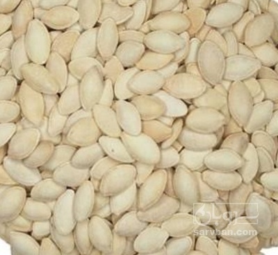 فروش تخمه  کدو بو داده