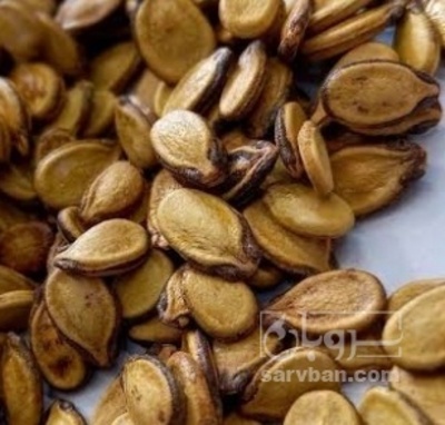 فروش تخمه هندوانه خام