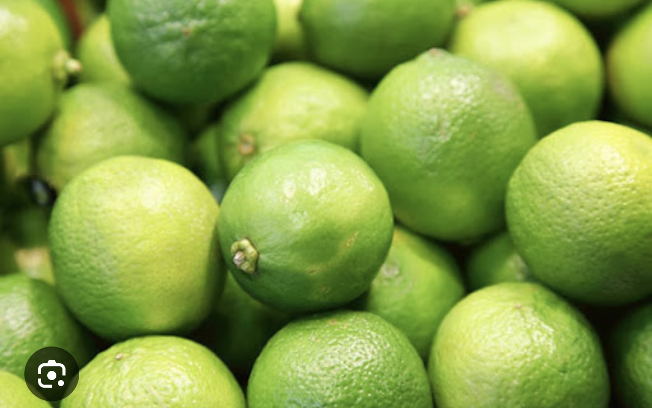 فروش لیمو ترش