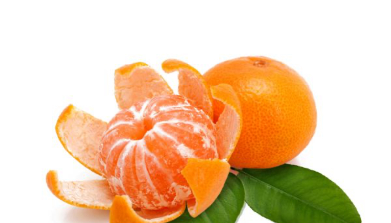 فروش نارنگی