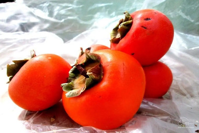 فروش خرمالو