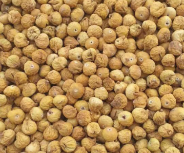 فروش انجیر خشک