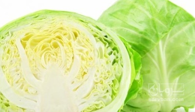 فروش کلم برگی سفید