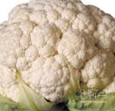 فروش گل کلم