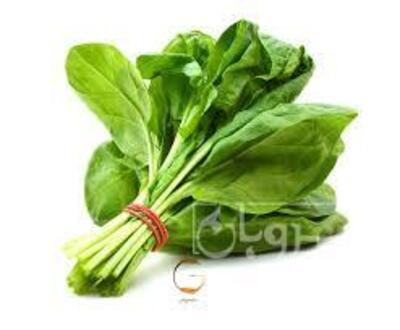 فروش اسفناج