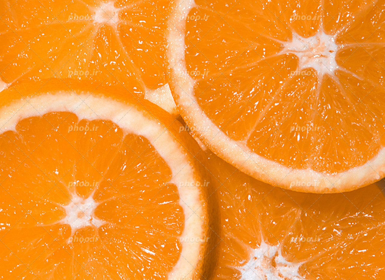 فروش پرتقال