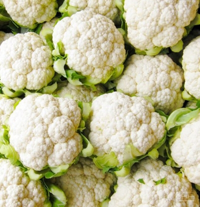 فروش گل کلم