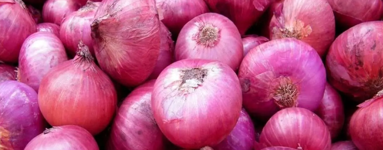 فروش پیاز قرمز