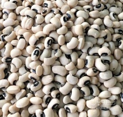 فروش لوبیا چشم بلبلی