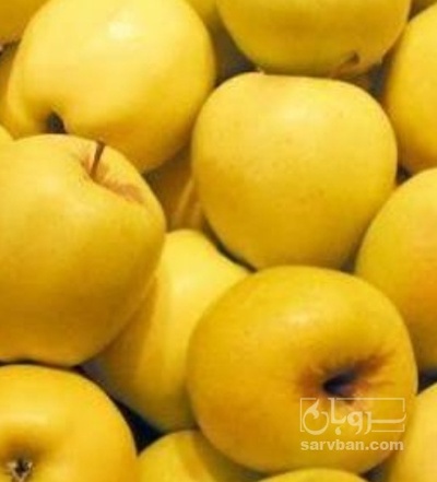 فروش سیب زرد
