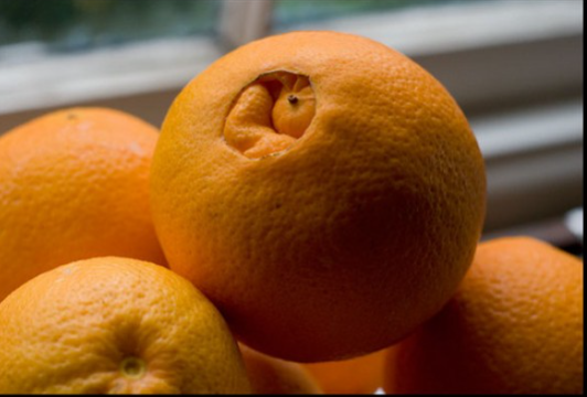 فروش نارنگی