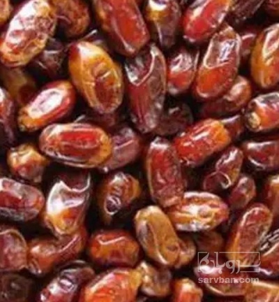 فروش خرما شاهانی
