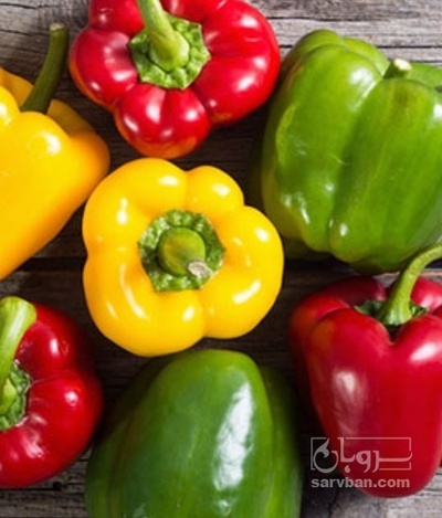 فروش فلفل دلمه ای