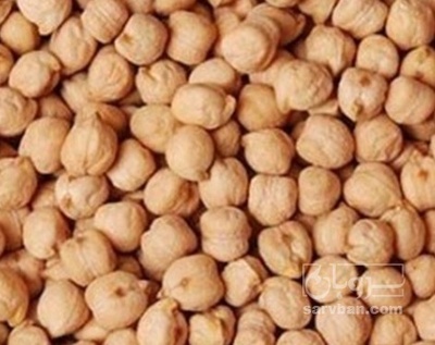 فروش نخود فلافلی