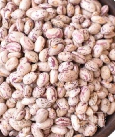 فروش لوبیا چیتی