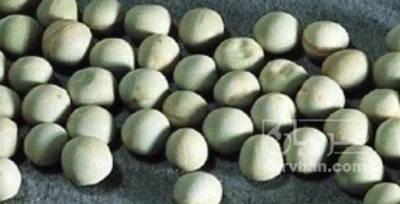 فروش نخود فرنگی بذری شمشیری