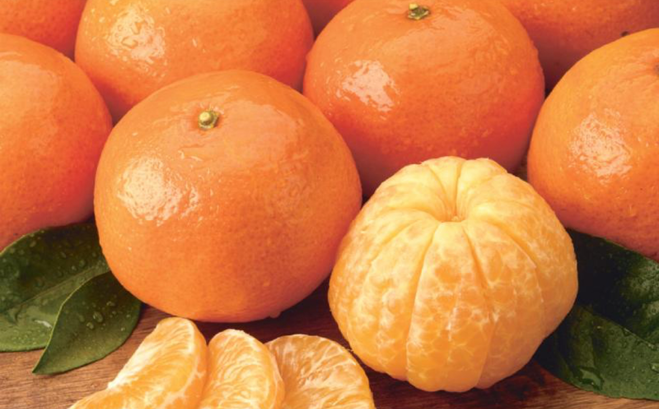 فروش نارنگی پیچ