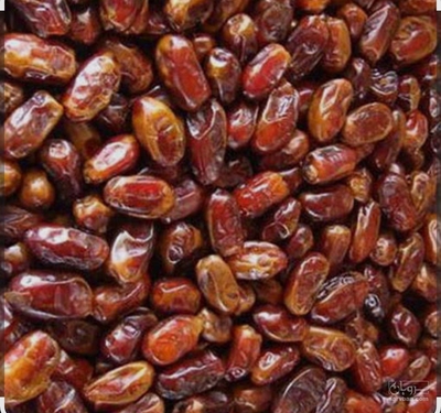 فروش خرماخاصویی