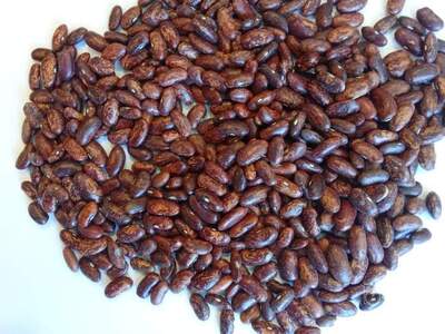 فروش لوبیا چیتی