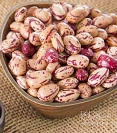 فروش لوبیا چیتی