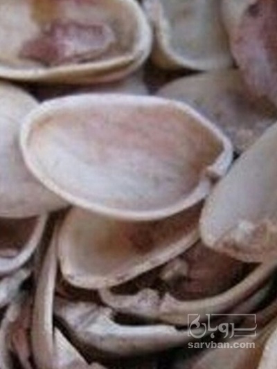 فروش پوست پسته (گیاه‌ دارویی)