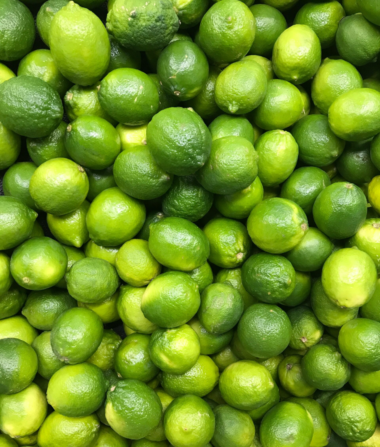 فروش لیمو ترش