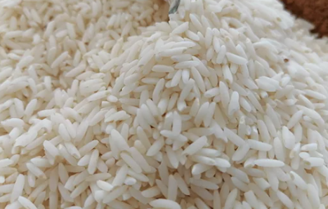 فروش برنج
