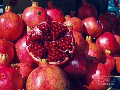 فروش انار