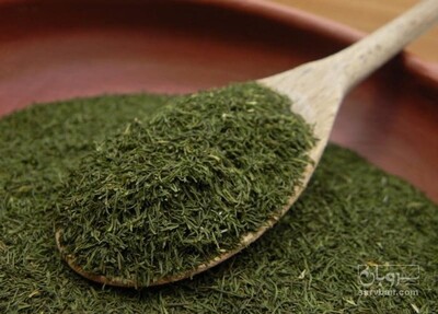 فروش پودر نعنا