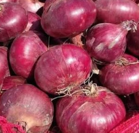 فروش پیاز قرمز
