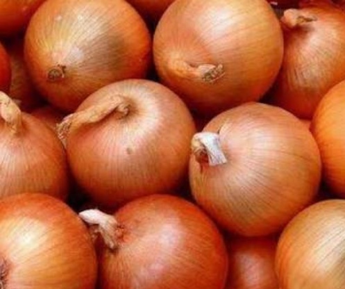 فروش پیاز زرد