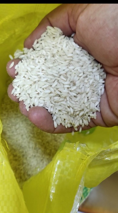 فروش برنج