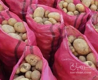 فروش سیب زمینی جلی