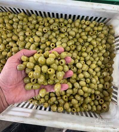 فروش زیتون شور