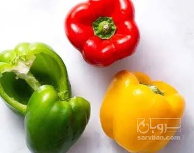 فروش فلفل دلمه ای