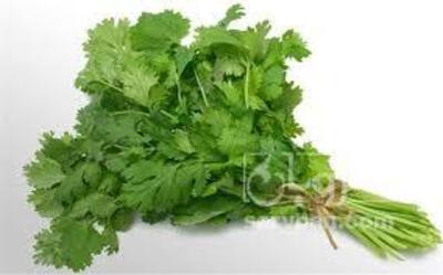 فروش جعفری تازه