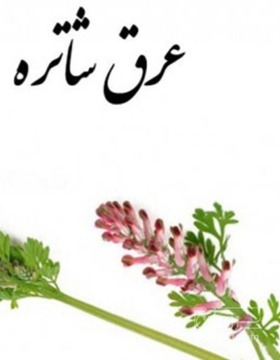 فروش شاه تره - شاتره (گیاه‌ دارویی)