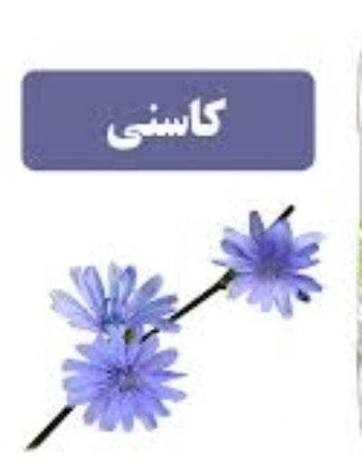 فروش عرق کاسنی