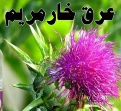 فروش عرق خارمریم