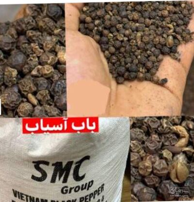 فروش فلفل