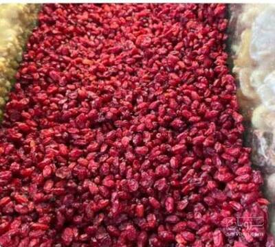 فروش زرشک