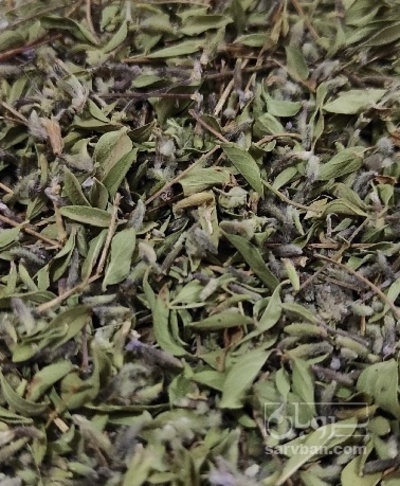 فروش پونه (گیاه‌ دارویی)