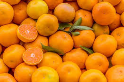 فروش نارنگی