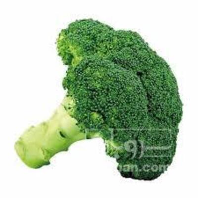 فروش کلم بروکلی