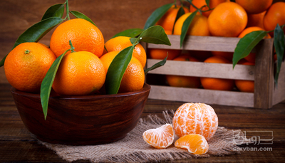 فروش نارنگی