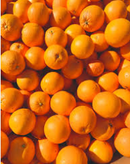 فروش پرتقال